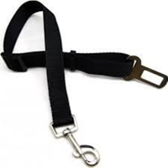 Picture of FREEDOG SAFETY BELT